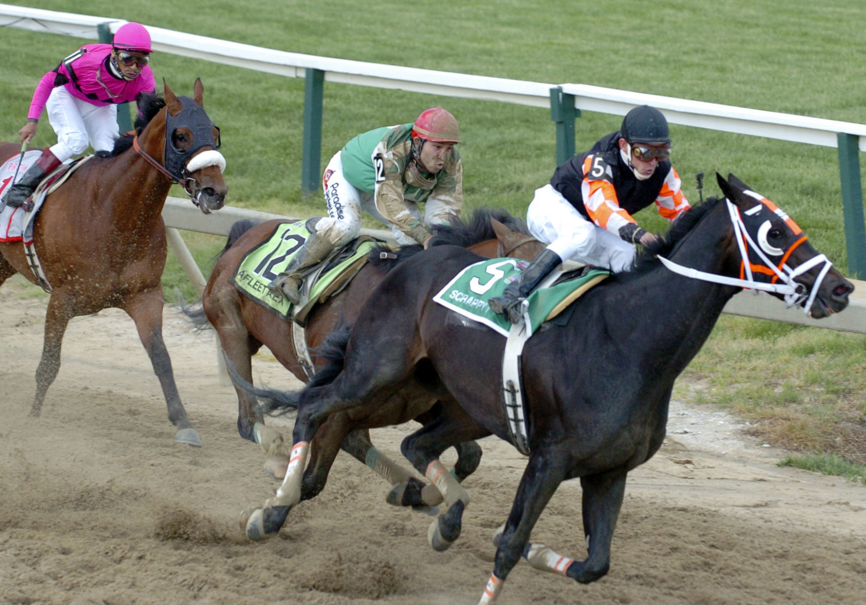 2005: Afleet Alex rallies for Preakness win after being cut off by Scrappy T